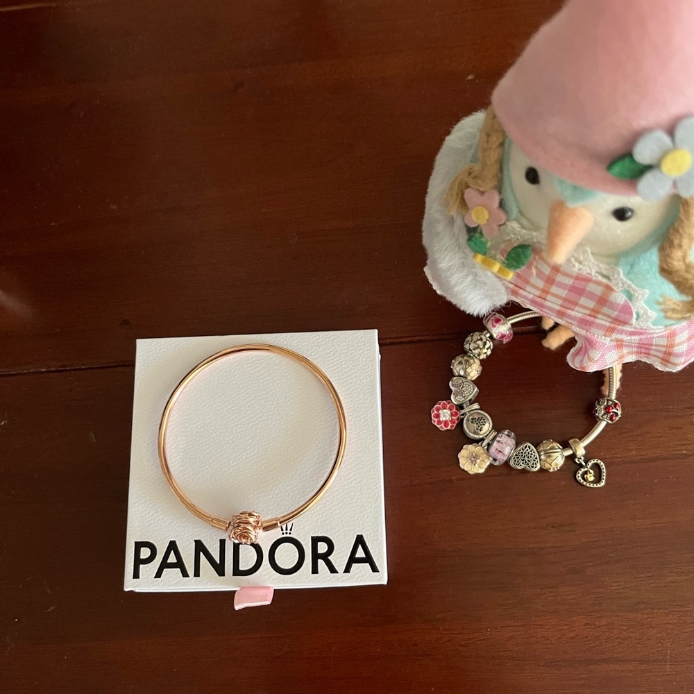 Pandora Moments Clasp Bangle.